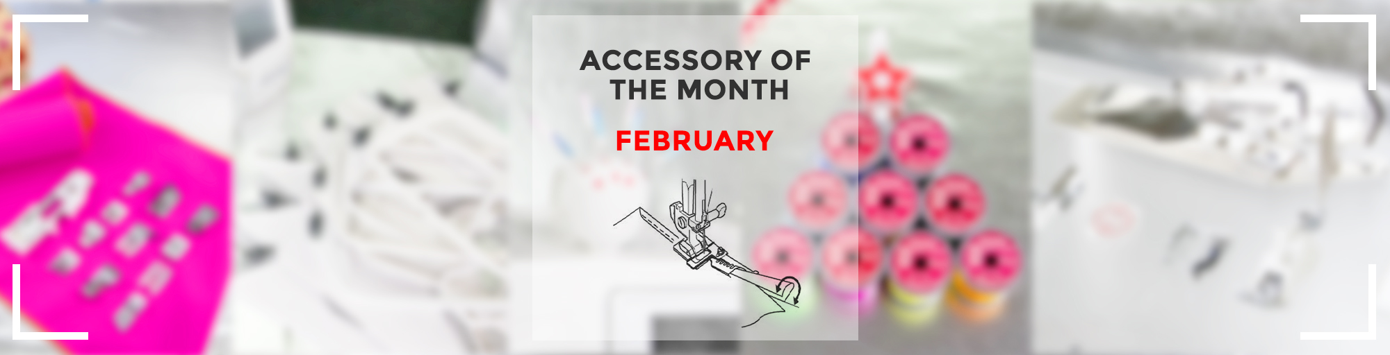 Accessory of the month feb